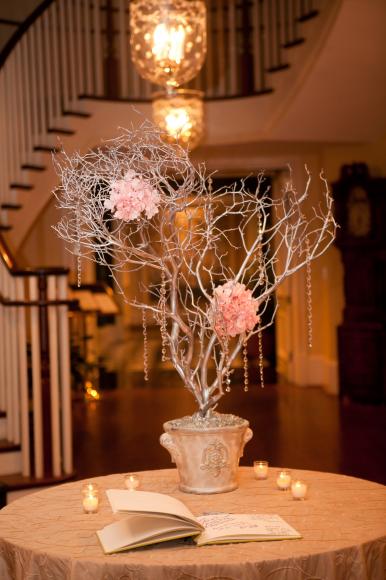 Renee Brock Photography